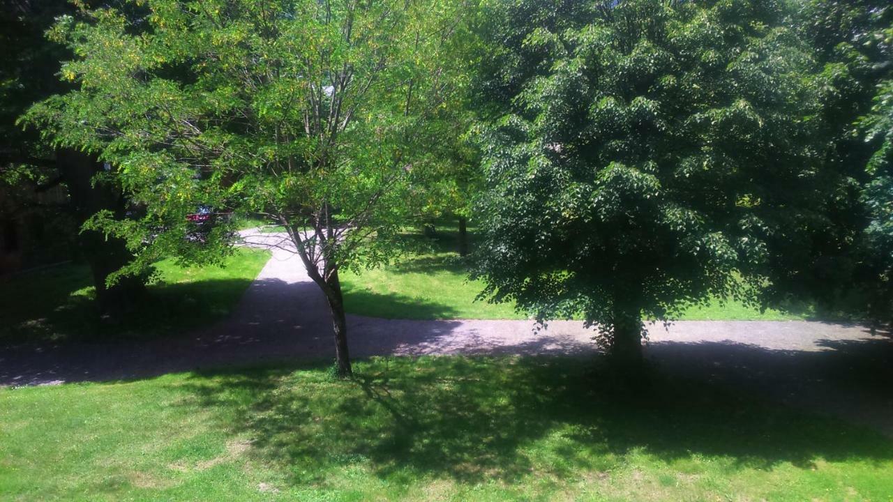 Appartement T2 Jardins De Ramel Bagnères-de-Luchon Eksteriør bilde